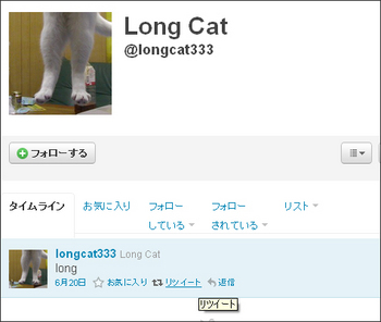 longcat-on-twitter.jpg