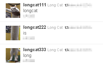longcat.jpg